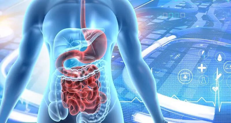 Gastrointestinal Pathogen Panel (GI)