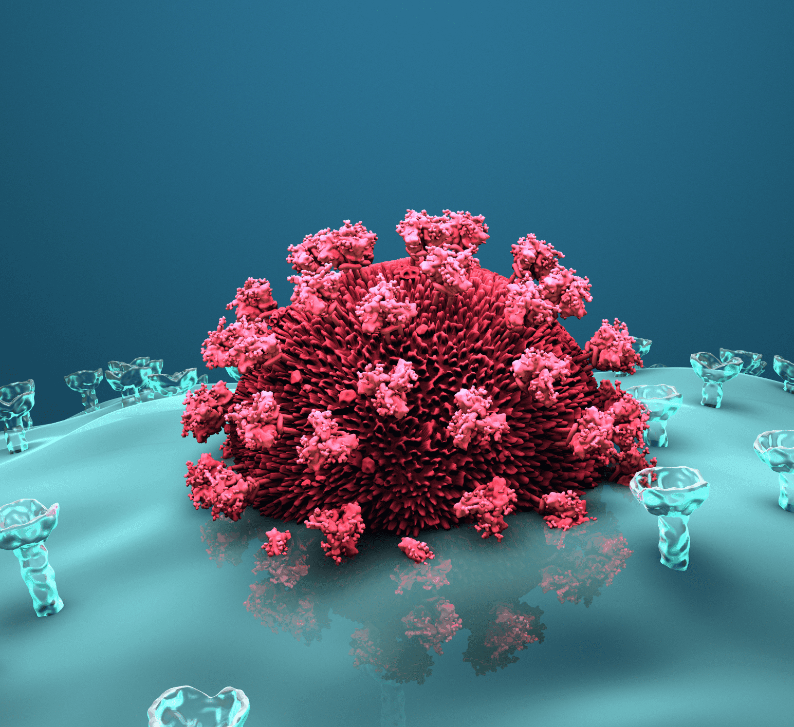 Wound Pathogen Panel (WPP)